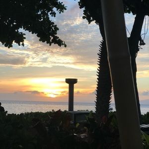 Meet your Posher, Isabella